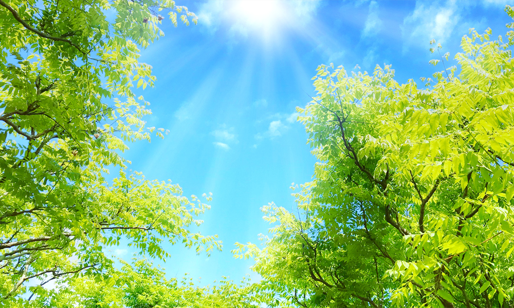 白木整形外科クリニック